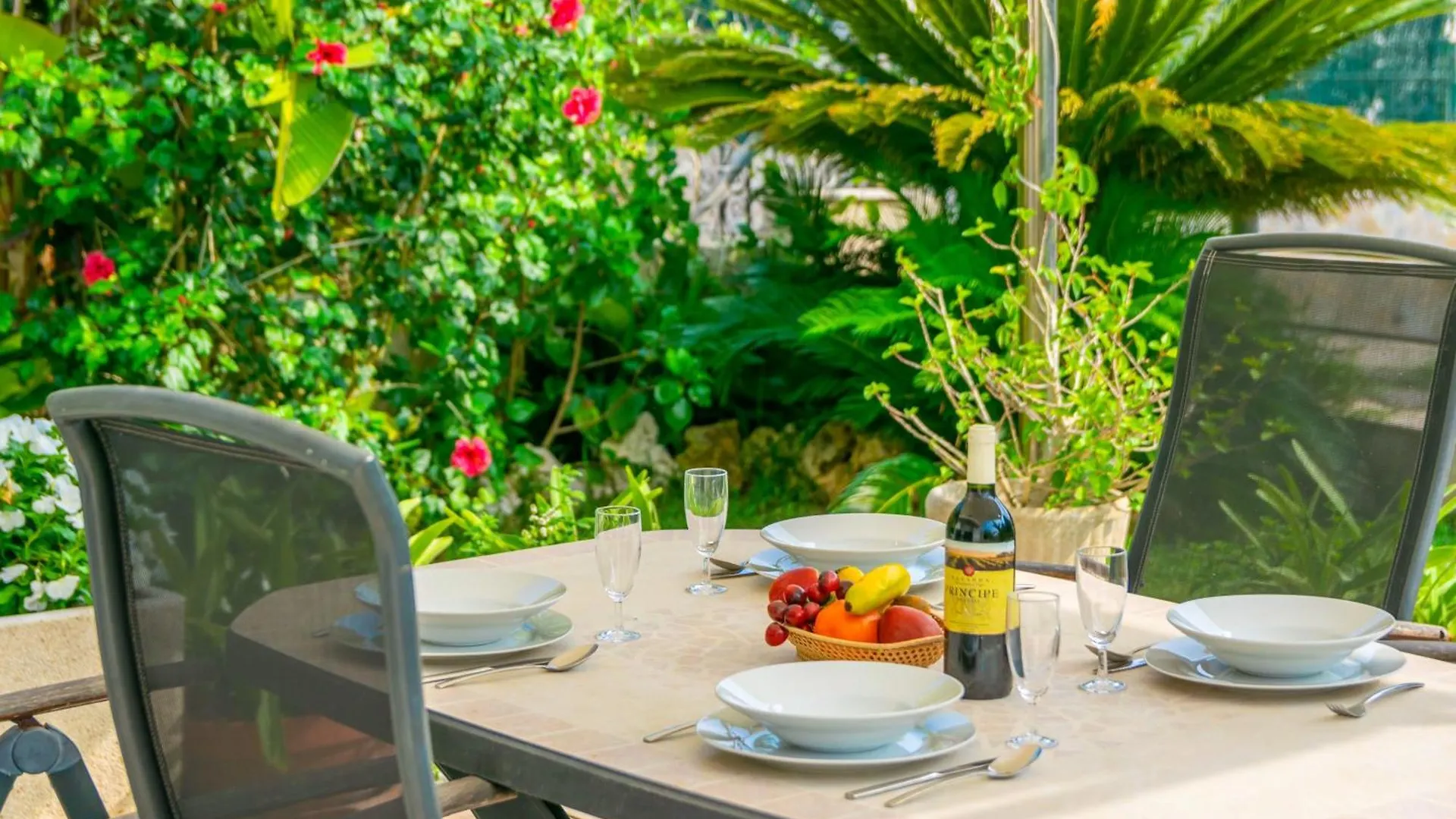Chalet Cas Ferrer -Bonaire- Villa Cielo de Bonaire